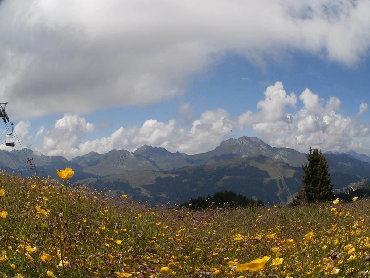 Altitude Lodge Les Gets Bagian luar foto